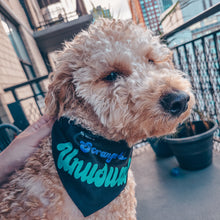 Load image into Gallery viewer, cute fluffy doodle dog sitting on balcony wearing medium sized Beetljuice inspired dog bandana reading "My Mom is strange and unusual"