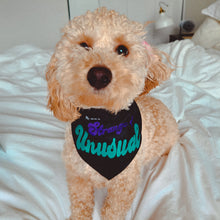Load image into Gallery viewer, mini doodle standing on a bed wearing Beetlejuice inspired black dog bandana with purple and green writing which reads "My Mom is Strange and unusual"