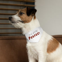 Load image into Gallery viewer, small dog wearing small sized Love actually inspired dog bandana with adjustable belt buckle, white with red and black writing reads "To me you are perfect"