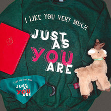 Load image into Gallery viewer, Flatlay with red diary, reindeer plush, and matching human and dog mom outfits Medium sized green sweatshirt and dog collar bandana with yellow and red writing reads "I like you very much just as you are" inspired by Bridget Jones