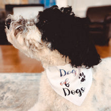 Load image into Gallery viewer, Cute and fluffy black and white doodle posing in a white bandana with multi-colored writing and a muddy paw print which reads &quot;dog of dogs&quot;
