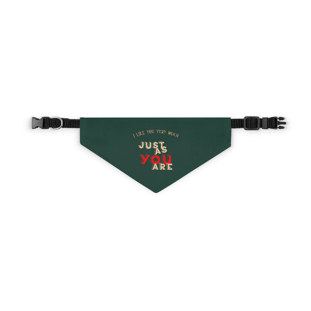 Small graphic print dog collar Bandana with adjustable buckle strap green with yellow and red writing reads 