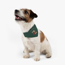 Load image into Gallery viewer, Small Jack russell dog wearing small dog collar Bandana with adjustable buckle strap green with yellow and red writing reads &quot;I like you very much just as you are&quot;
