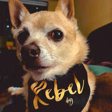 Load image into Gallery viewer, Small dog wearing medium sized black dog bandana with yellow writing which reads &quot;Rebel dog&quot;
